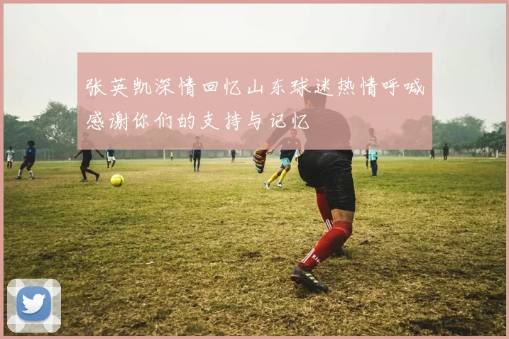 张英凯深情回忆山东球迷热情呼喊感谢你们的支持与记忆