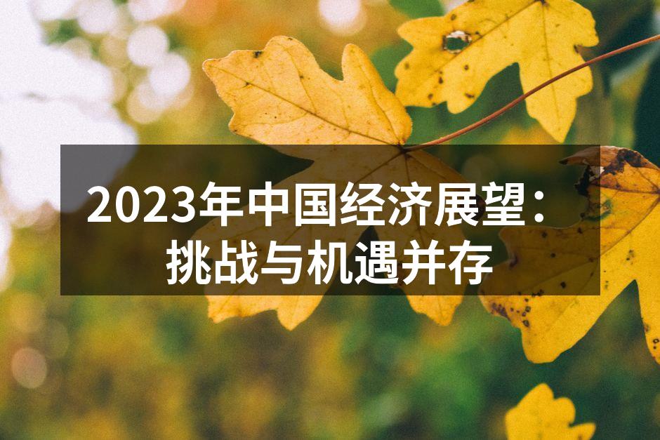 2023年中国经济展望：挑战与机遇并存
