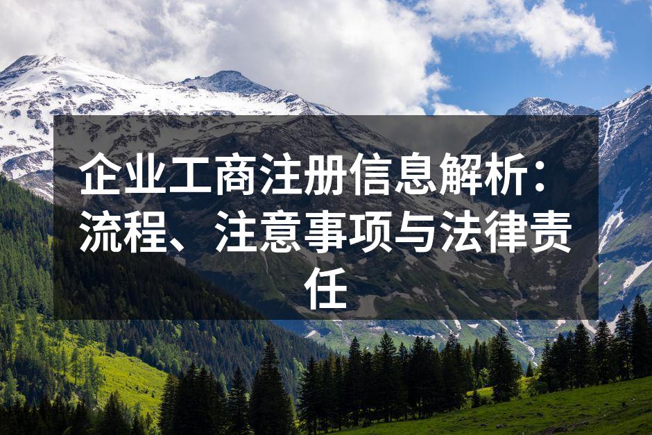 企业工商注册信息解析：流程、注意事项与法律责任