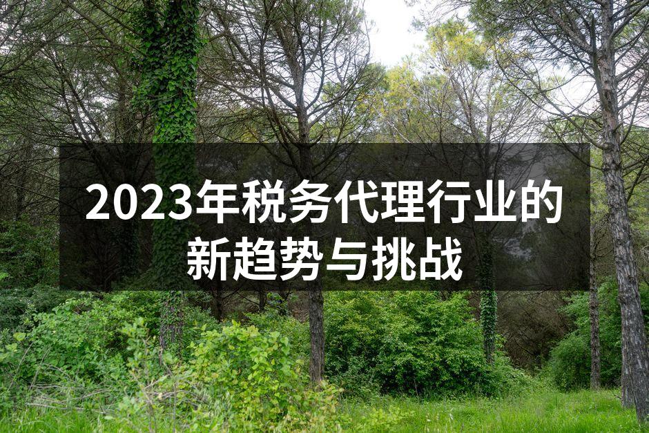 2023年税务代理行业的新趋势与挑战