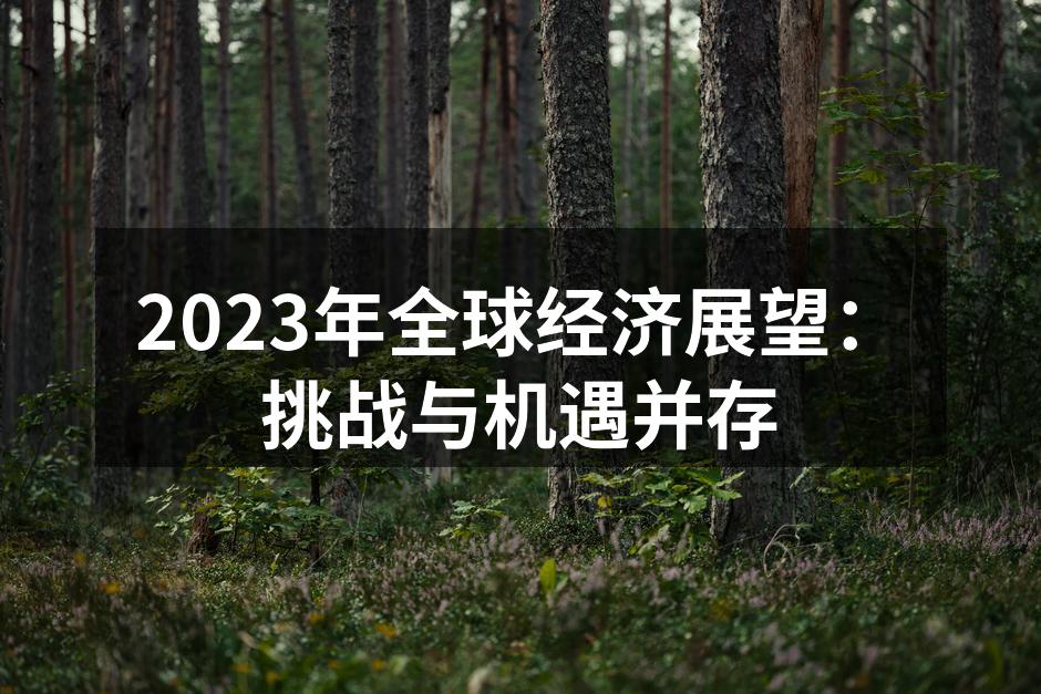 2023年全球经济展望：挑战与机遇并存
