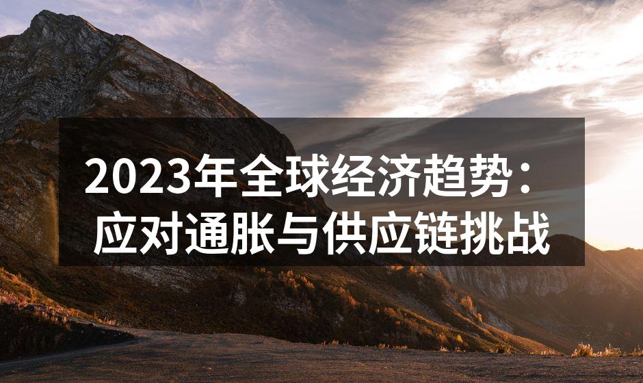 2023年全球经济趋势：应对通胀与供应链挑战