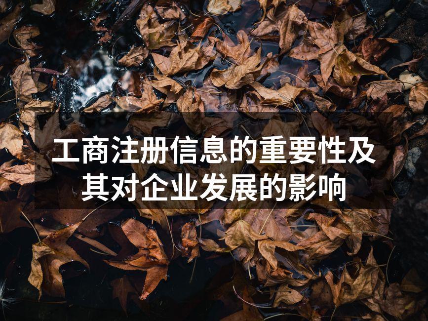 工商注册信息的重要性及其对企业发展的影响